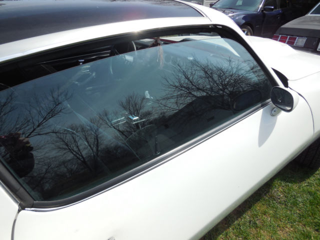 1980 Pontiac Trans Am Pace SE - photo 8