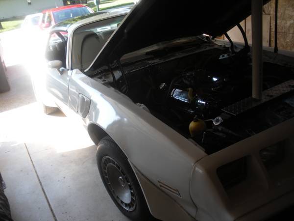 1980 Pontiac Trans Am Pace SE - photo 9