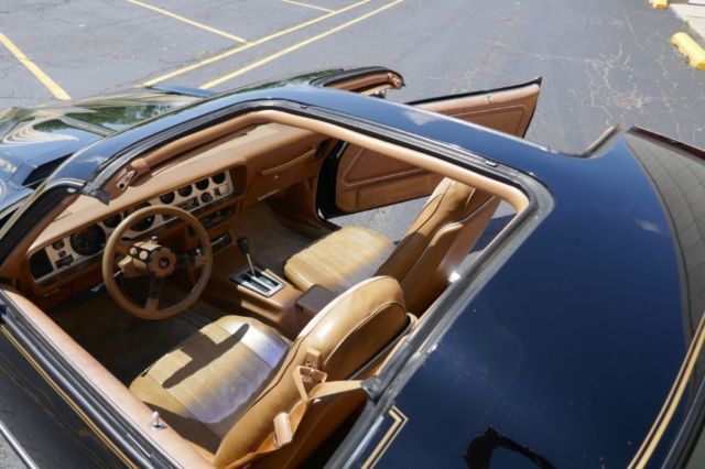 1980 Pontiac Trans Am FIREBIRD TRANS AM 1977 1978 1979 1981 - photo 3