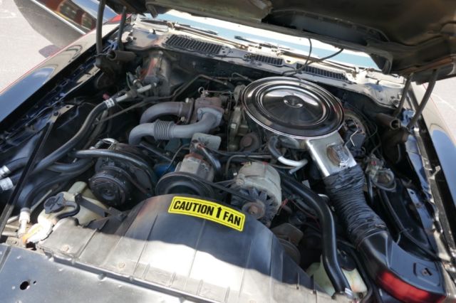 1980 Pontiac Trans Am FIREBIRD TRANS AM 1977 1978 1979 1981 - photo 4
