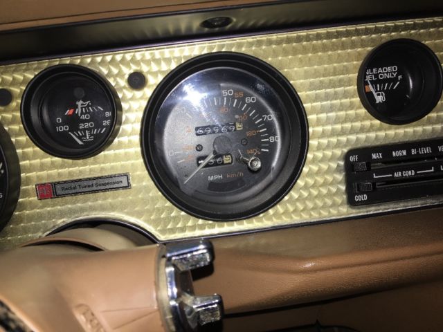 1980 Pontiac Trans Am - photo 10