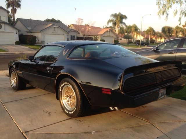 1980 Pontiac Trans Am - photo 2