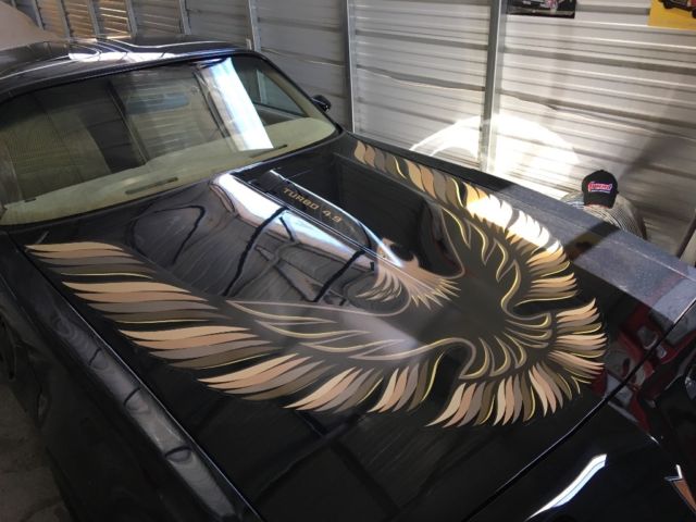 1980 Pontiac Trans Am - photo 5