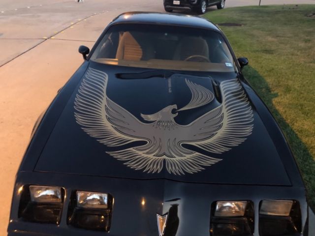 1980 Pontiac Trans Am - photo 3