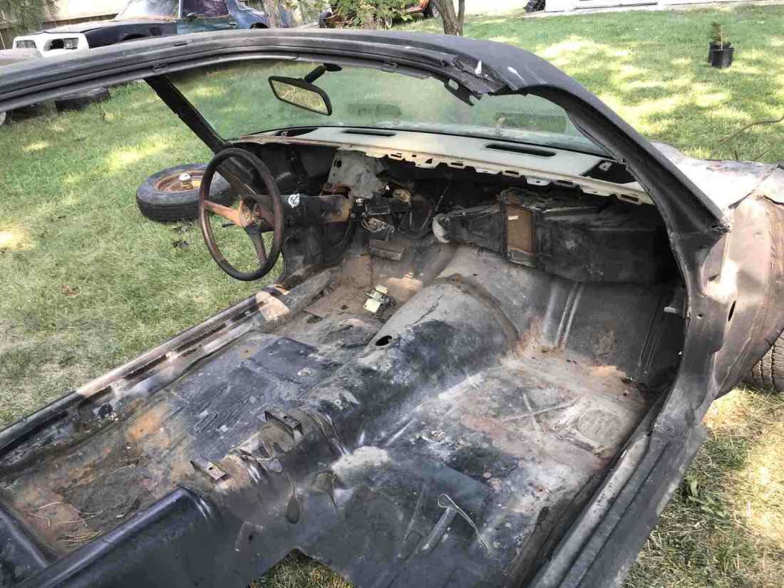 1980 Pontiac Trans Am - photo 6