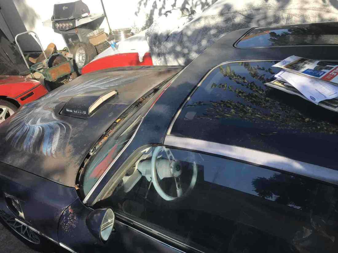 1980 Pontiac Trans Am - photo 10