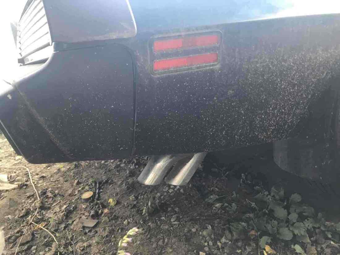 1980 Pontiac Trans Am - photo 8