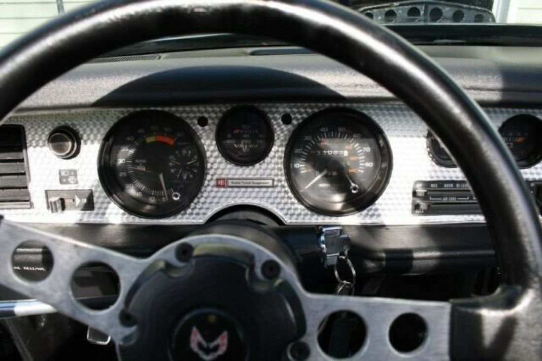 1980 Pontiac Trans Am T-Tops - photo 13