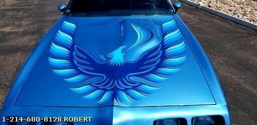 1980 Pontiac Trans Am T-tops - photo 9
