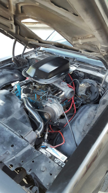 1980 Pontiac Trans Am TRANS AM - photo 13