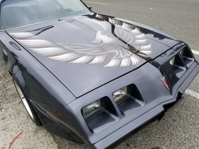 1980 Pontiac Trans Am TRANS AM ** NO RESERVE ** - photo 10
