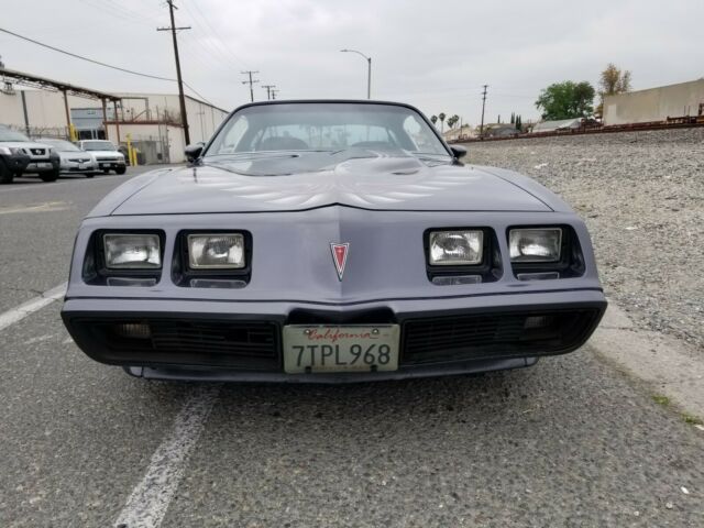 1980 Pontiac Trans Am TRANS AM ** NO RESERVE ** - photo 3