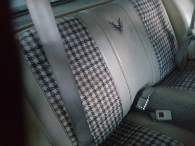 1980 Pontiac Trans Am Indy 500 Pace car - photo 12