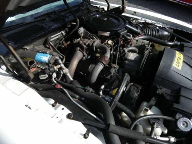 1980 Pontiac Trans Am Turbo Trans Am - photo 12