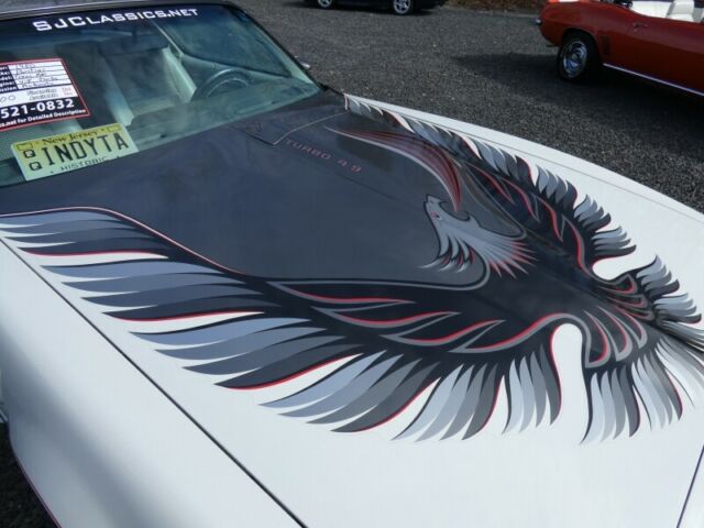 1980 Pontiac Trans Am Turbo Trans Am - photo 4