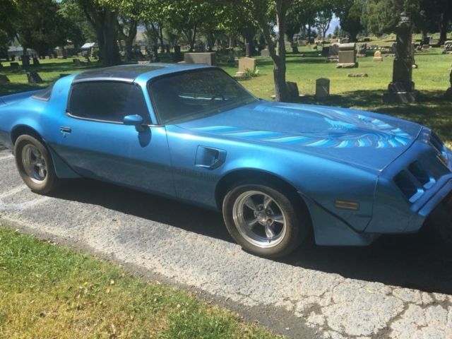 1980 Pontiac Firebird Trans Am - photo 12
