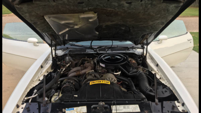 1980 Pontiac Trans Am Turbo - photo 3