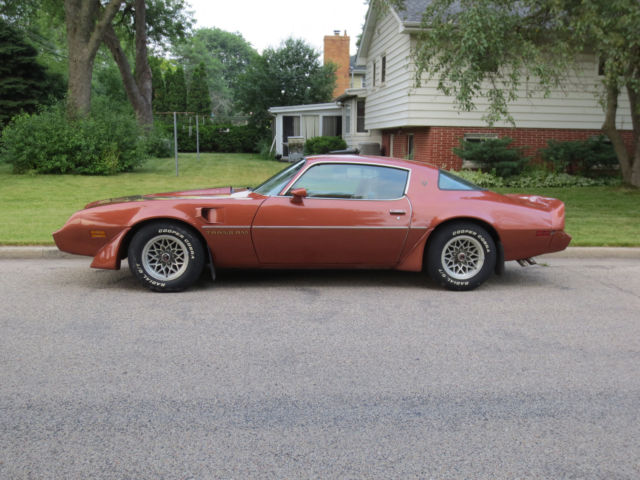 1980 Pontiac Trans Am Turbo trans am