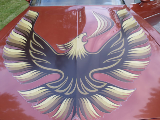 1980 Pontiac Trans Am Turbo trans am - photo 10