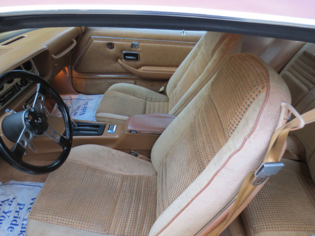 1980 Pontiac Trans Am Turbo trans am - photo 7