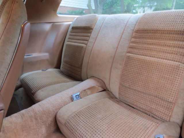 1980 Pontiac Trans Am Turbo trans am - photo 8