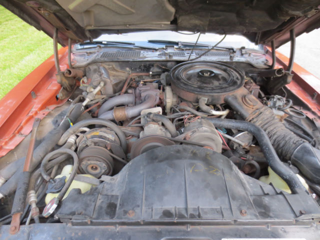 1980 Pontiac Trans Am Turbo trans am - photo 9