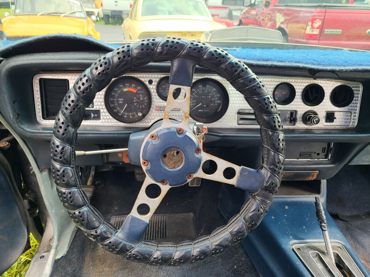 1980 Pontiac Trans Am - photo 10