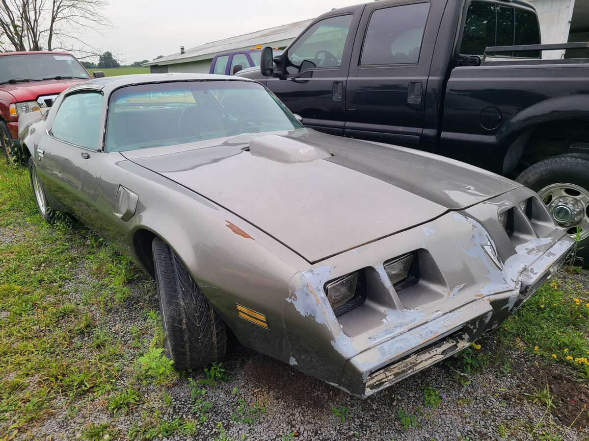 1980 Pontiac Trans Am - photo 3