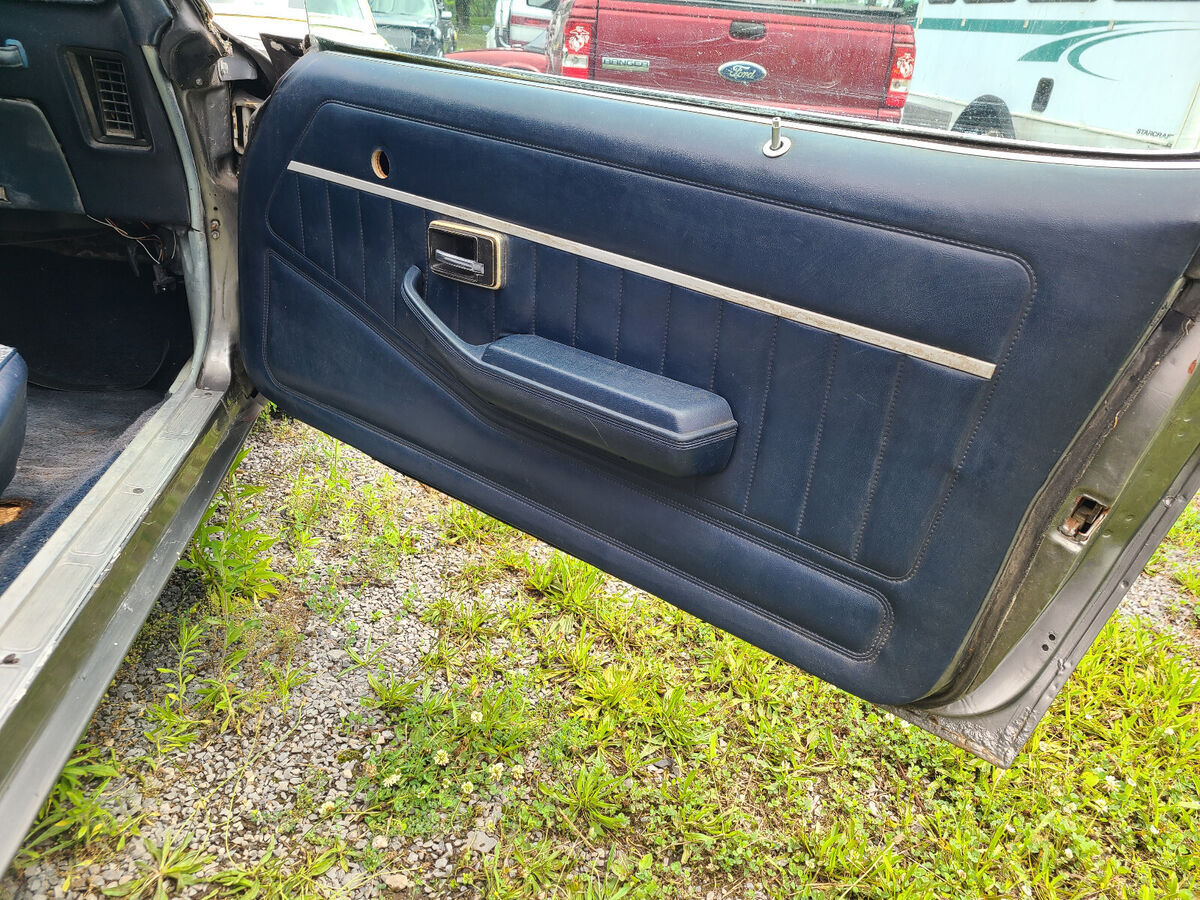 1980 Pontiac Trans Am - photo 6