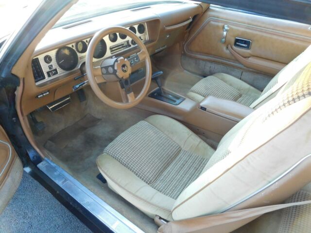 1980 Pontiac Trans Am - photo 11