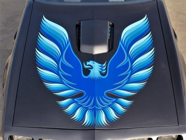 1980 Pontiac Trans Am WS6 - photo 4