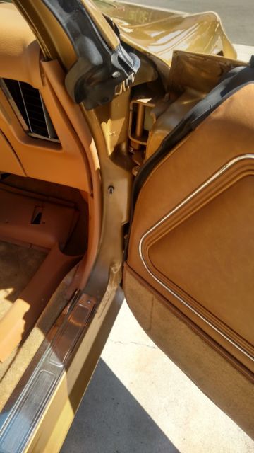 1980 Pontiac Trans Am - photo 11