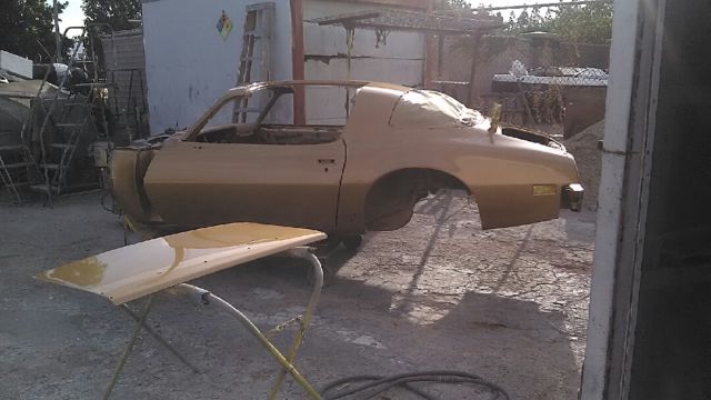 1980 Pontiac Trans Am - photo 7