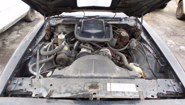 1980 Pontiac Trans Am Y-84 - photo 10