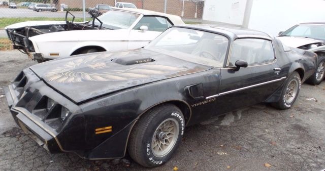 1980 Pontiac Trans Am Y-84 - photo 3