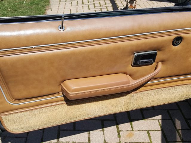 1980 Pontiac Trans Am - photo 10