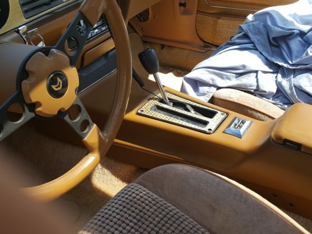 1980 Pontiac Trans Am - photo 11
