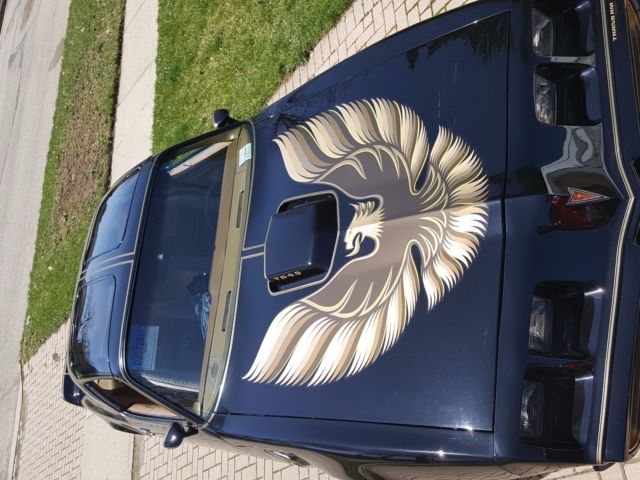 1980 Pontiac Trans Am - photo 9