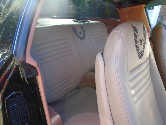 1980 Pontiac Trans Am - photo 11
