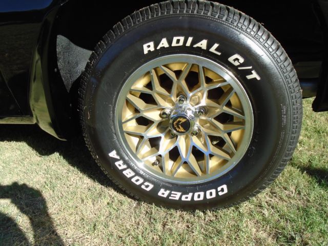 1980 Pontiac Trans Am - photo 8