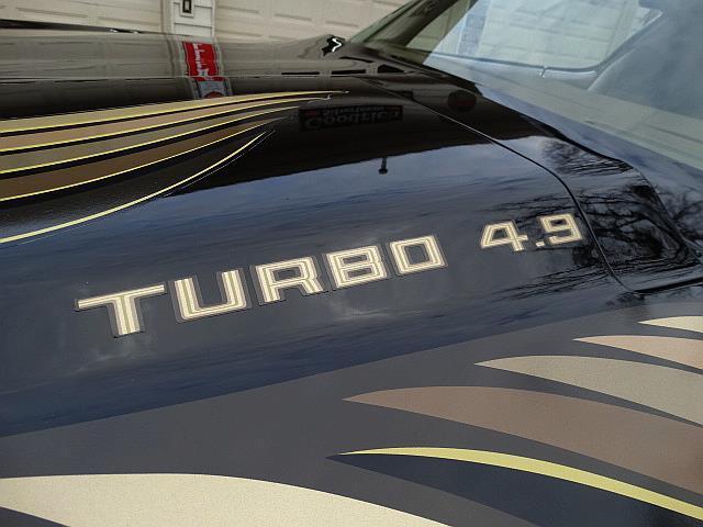 1980 Pontiac Trans Am -- - photo 9