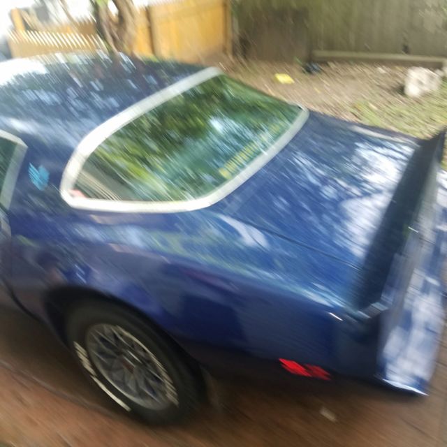 1980 Pontiac Firebird - photo 6