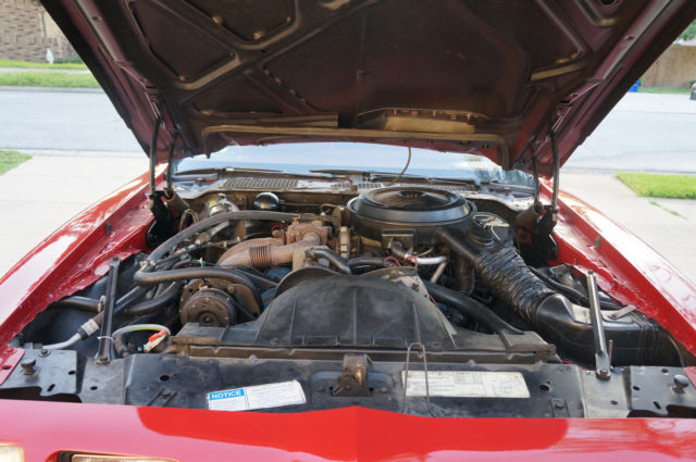 1980 Pontiac Firebird - photo 7