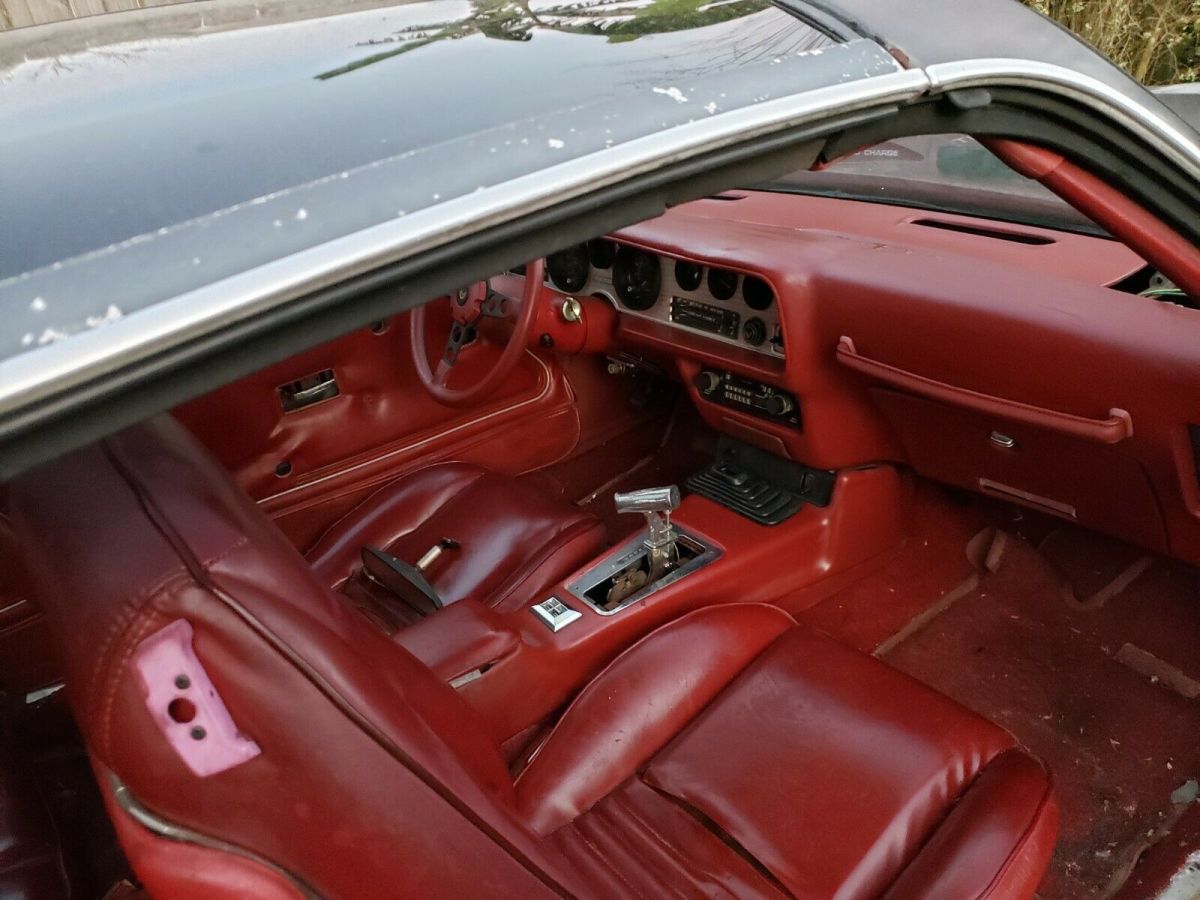 1980 Pontiac Trans Am Turbo Trans Am - photo 11
