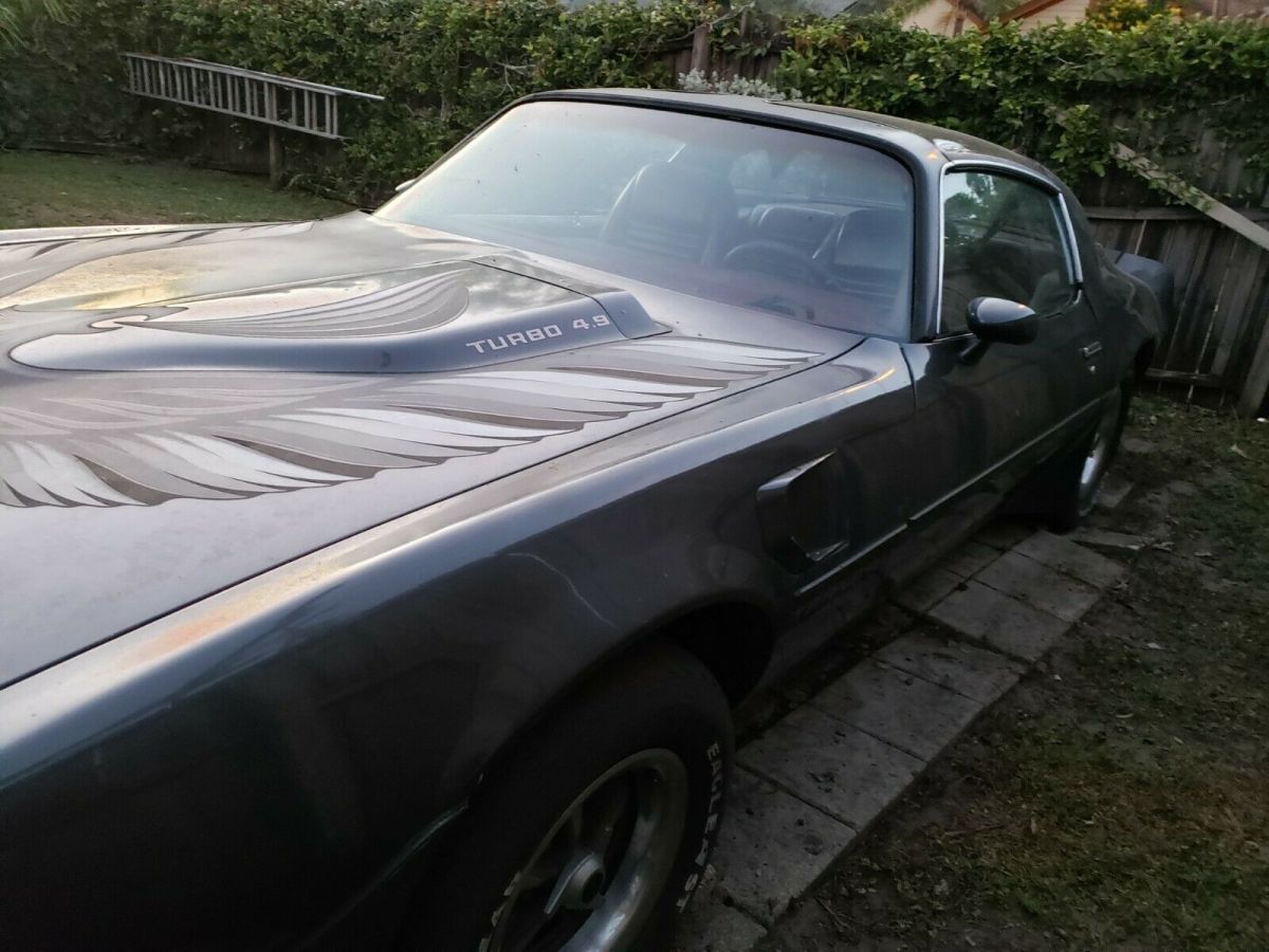 1980 Pontiac Trans Am Turbo Trans Am - photo 12