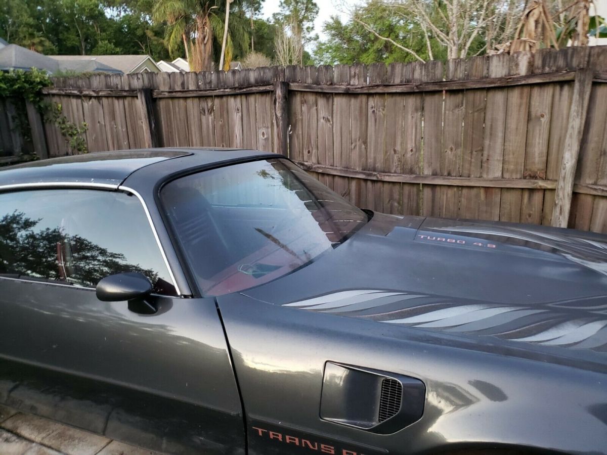 1980 Pontiac Trans Am Turbo Trans Am - photo 5