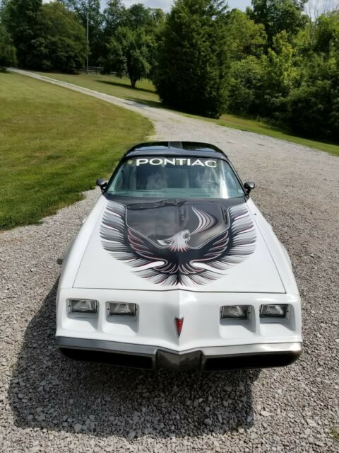 1980 Pontiac Firebird - photo 3