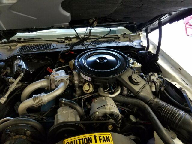 1980 Pontiac Firebird - photo 9
