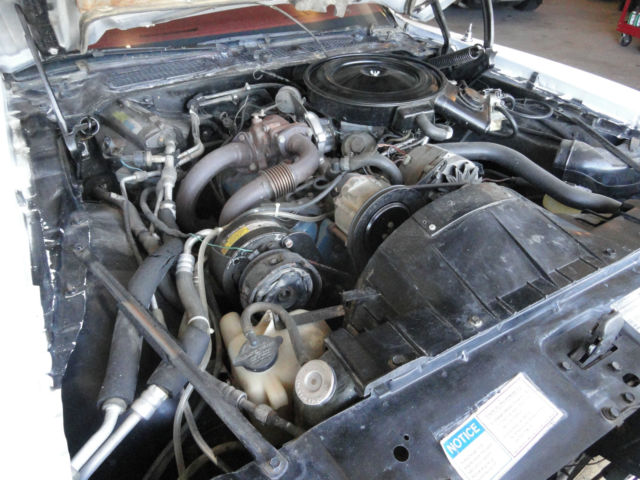 1980 Pontiac Trans Am Trans Am - photo 6