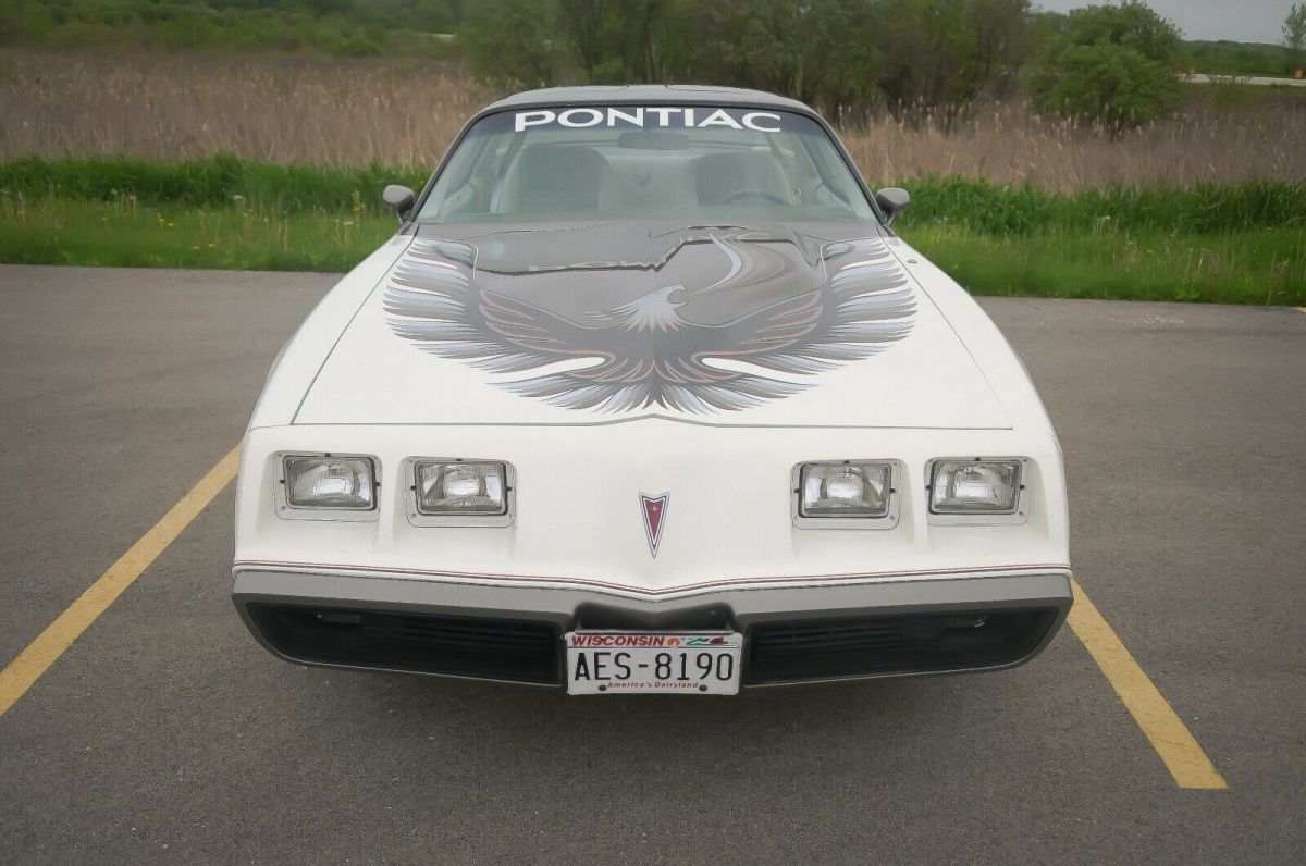 1980 Pontiac Trans Am Pace Car - photo 8